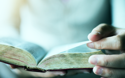 Bible Reading Plans